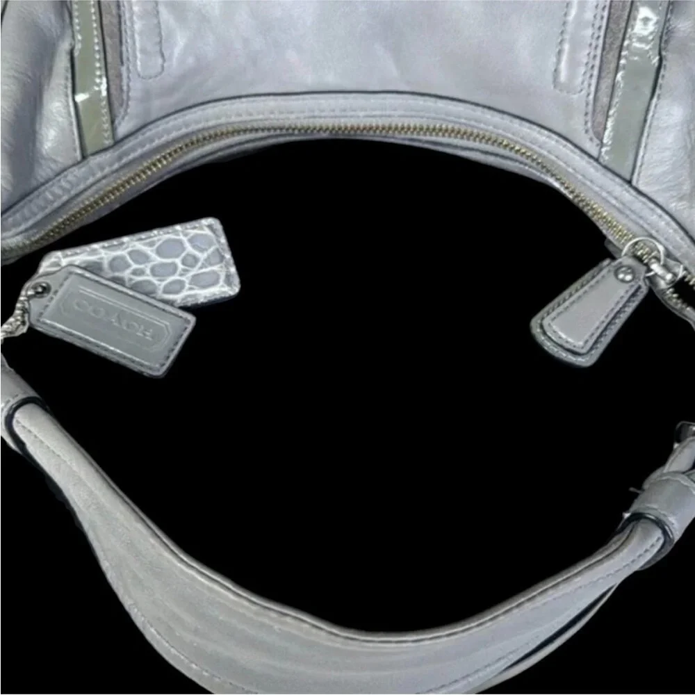 Coach Kristin Spectator Smooth Leather Snake Embossed Hobo Shoulder Bag
